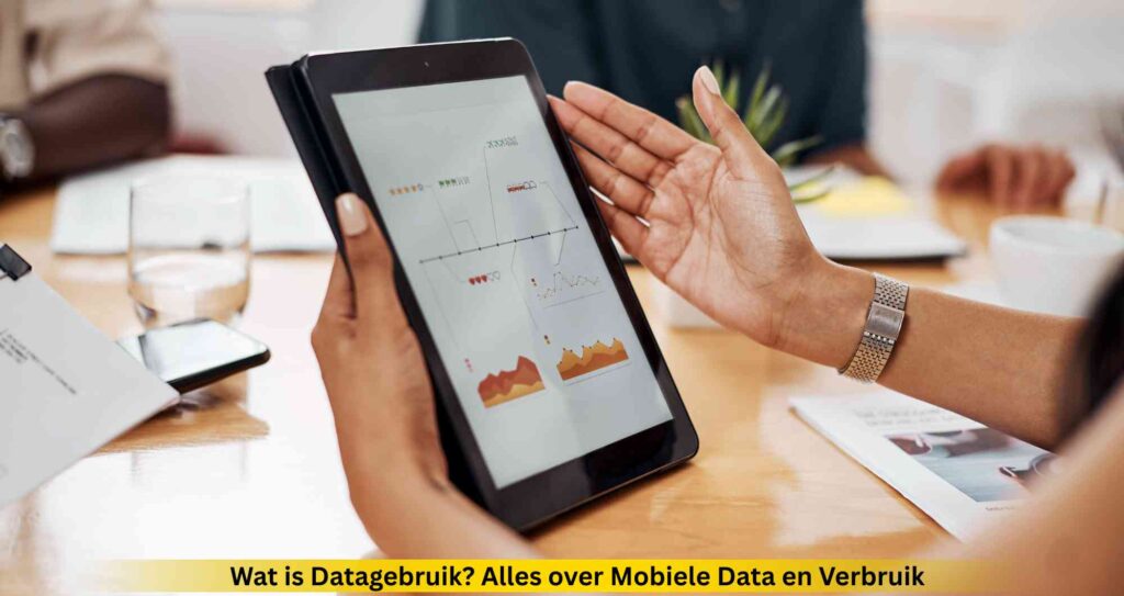 wat is datagebruik
